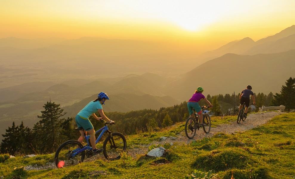 Guided Mountain Biking Trip | Bitterroot Mountains | Hamilton, Montana