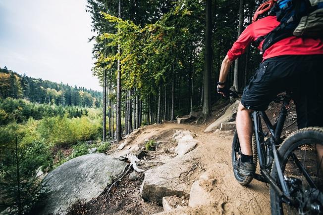 Guided Multi-Day Mountain Biking Trip | Bitterroot Mountains | Hamilton, Montana