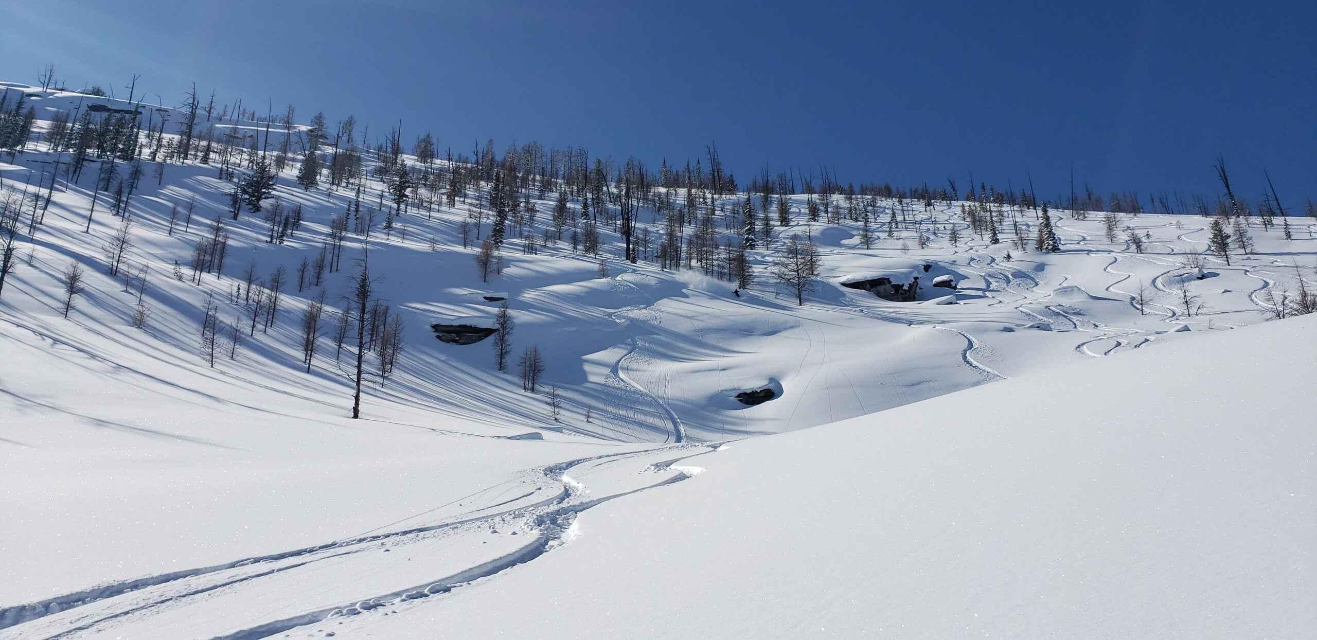 Guided Backcountry Ski Tour | Bitterroot Mountains | Missoula, Montana