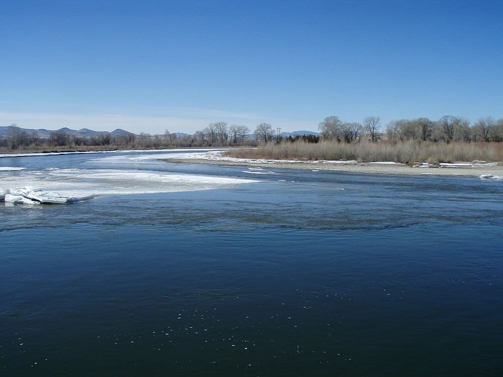 Upper Missouri River Carp Fishing Guide