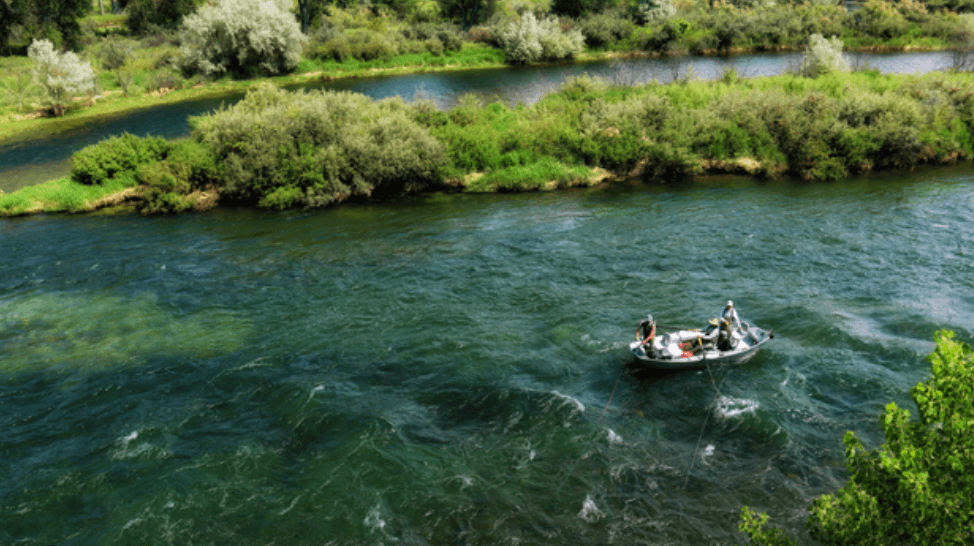 Guided Fly Fishing Trip | Bighorn River | Billings, Montana