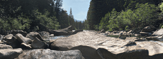 Guided Walk & Wade Trout Fly Fishing Trip | Boulder River | Mcleod, Montana