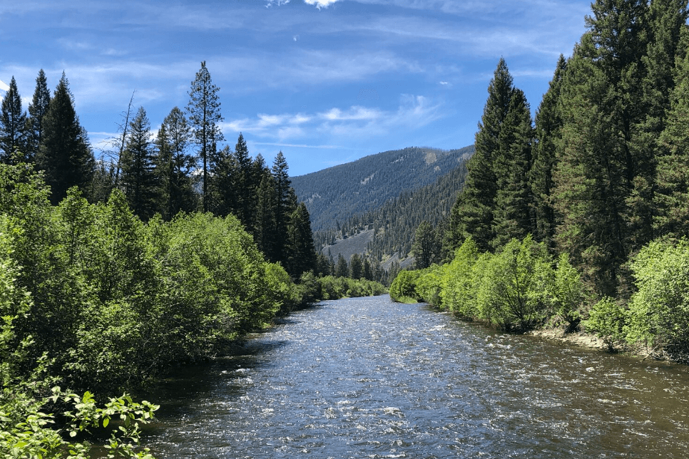 Red Lodge Montana Fly Fishing Guide