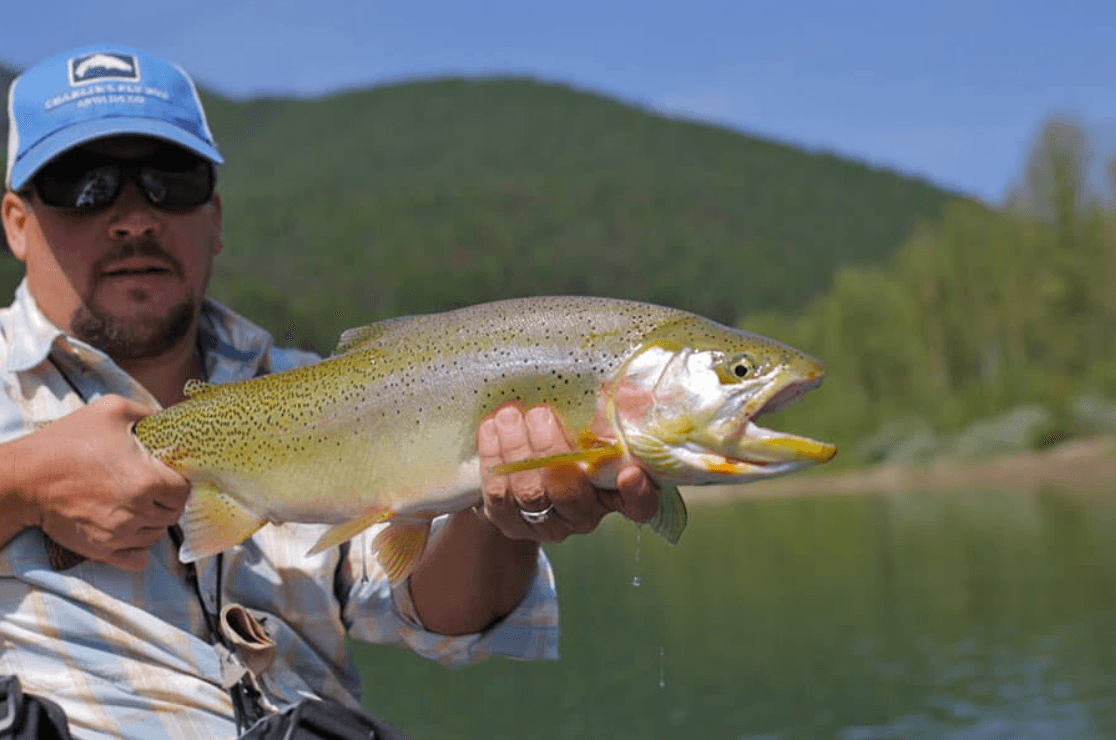 Guided Fly Fishing Trip | Flathead River | Kalispell, Montana