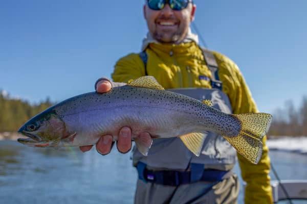 West Glacier Montana Fly Fishing Guide