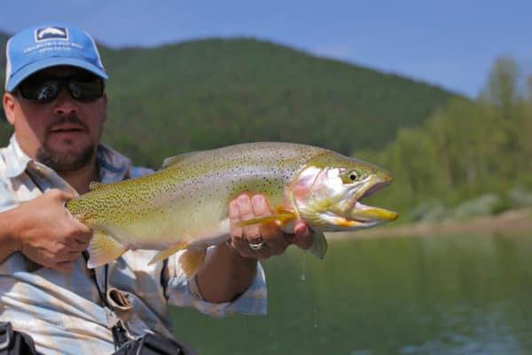 The Best Blackfoot River Fly Fishing Guide