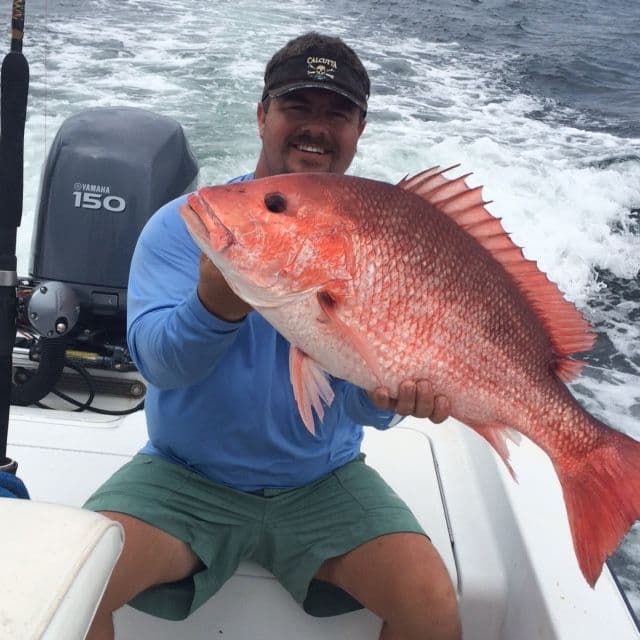 Snapper Fishing Charter | Nearshore 4-Hours | Orange Beach, Alabama