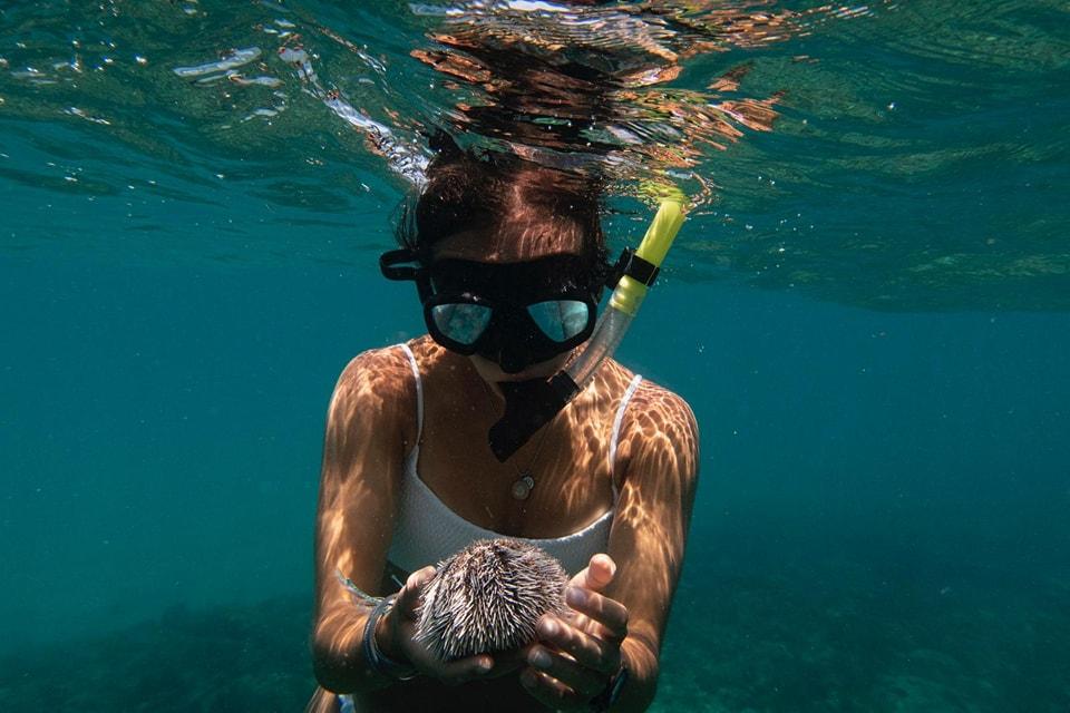 Guided Sandbar & Snorkeling Tour | 4-Hours | Peanut Island | Boynton Beach