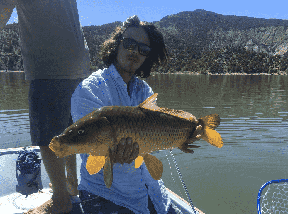 Guided Fly Fishing Trip | Vallecito Lake Full Day | Silverton, Colorado