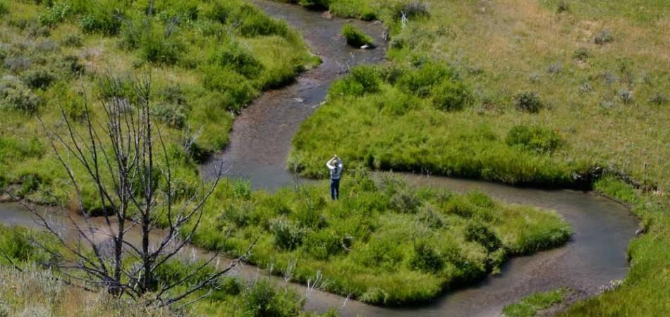 Ruby River Fly Fishing Guide