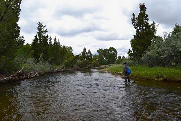 Sheridan Montana Fly Fishing