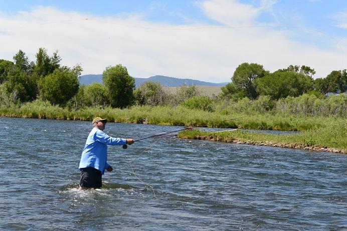 Jefferson River Half Day Wade Fly Fishing