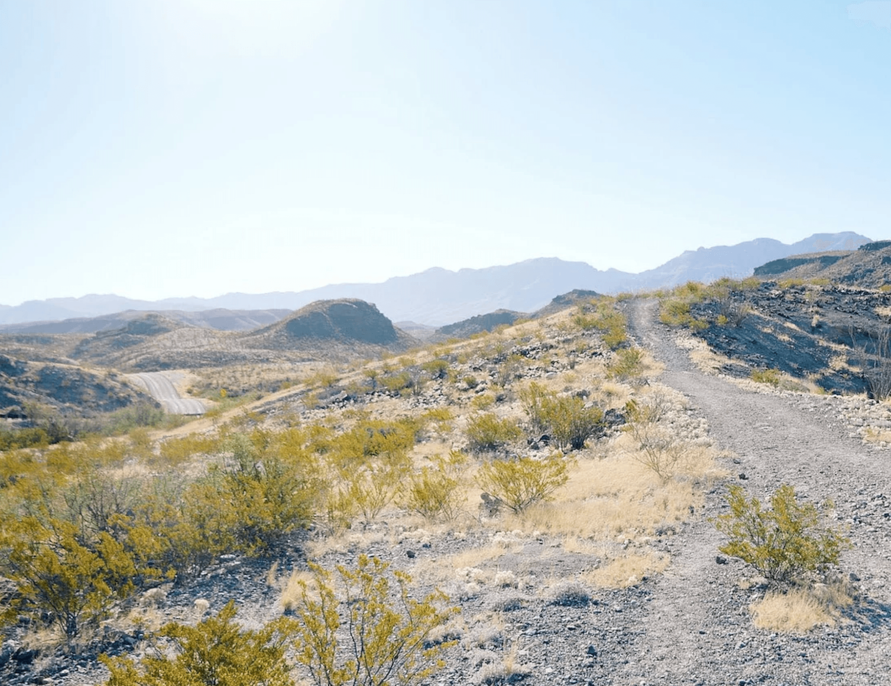 Guided Bike Trip | Big Bend National Park | Study Butte-Terlingua, Texas