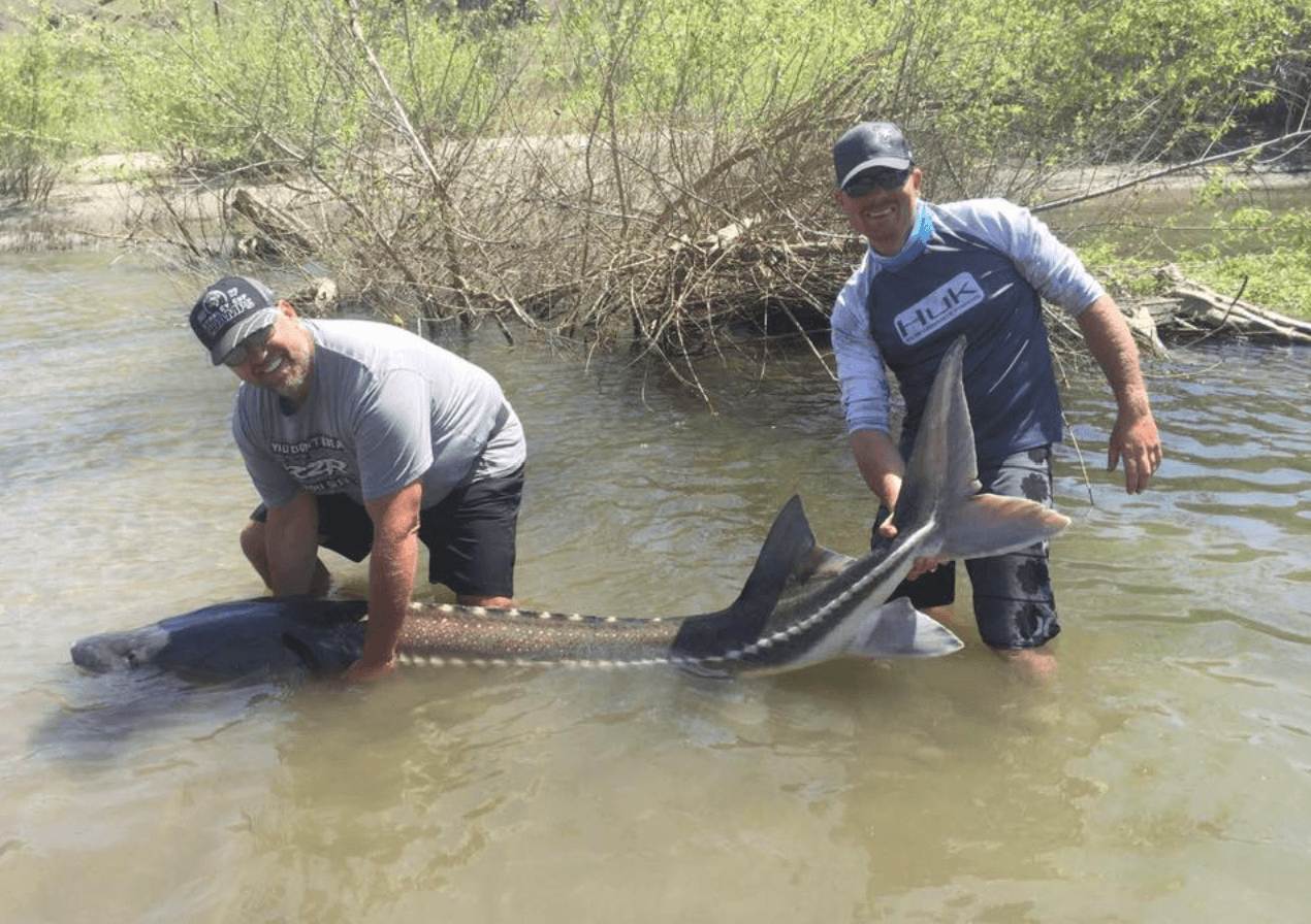 Idaho Sturgeon Fishing Charter | Hell's Canyon Snake River | Lewiston, Idaho