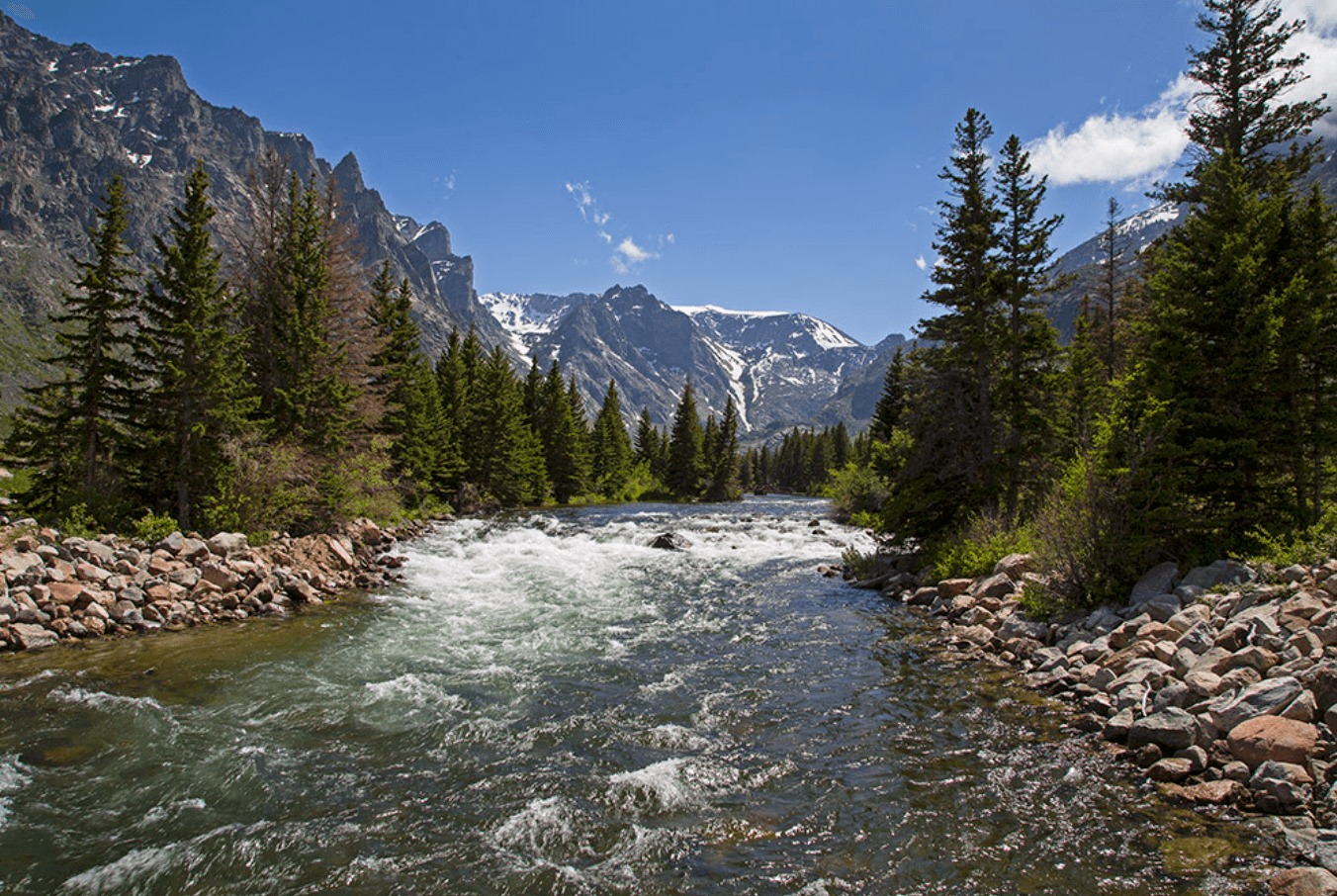 East Rosebud Creek Fly Fishing