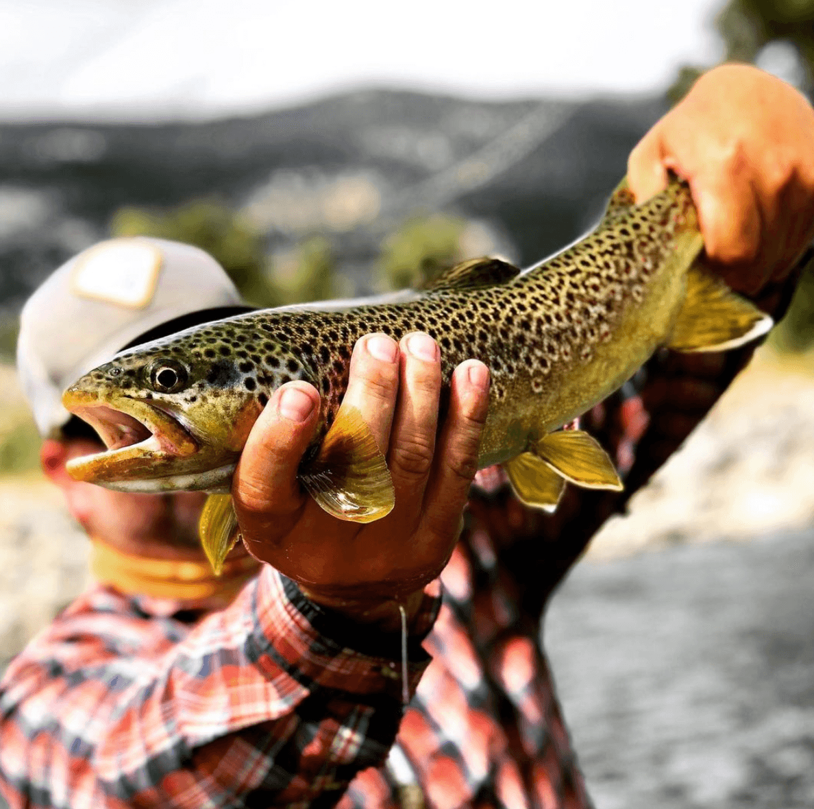 Guided Fly Fishing Trip Central Montana's Secret Waters