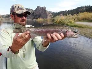 Gallatin River Fly Fishing Bozeman, Montana