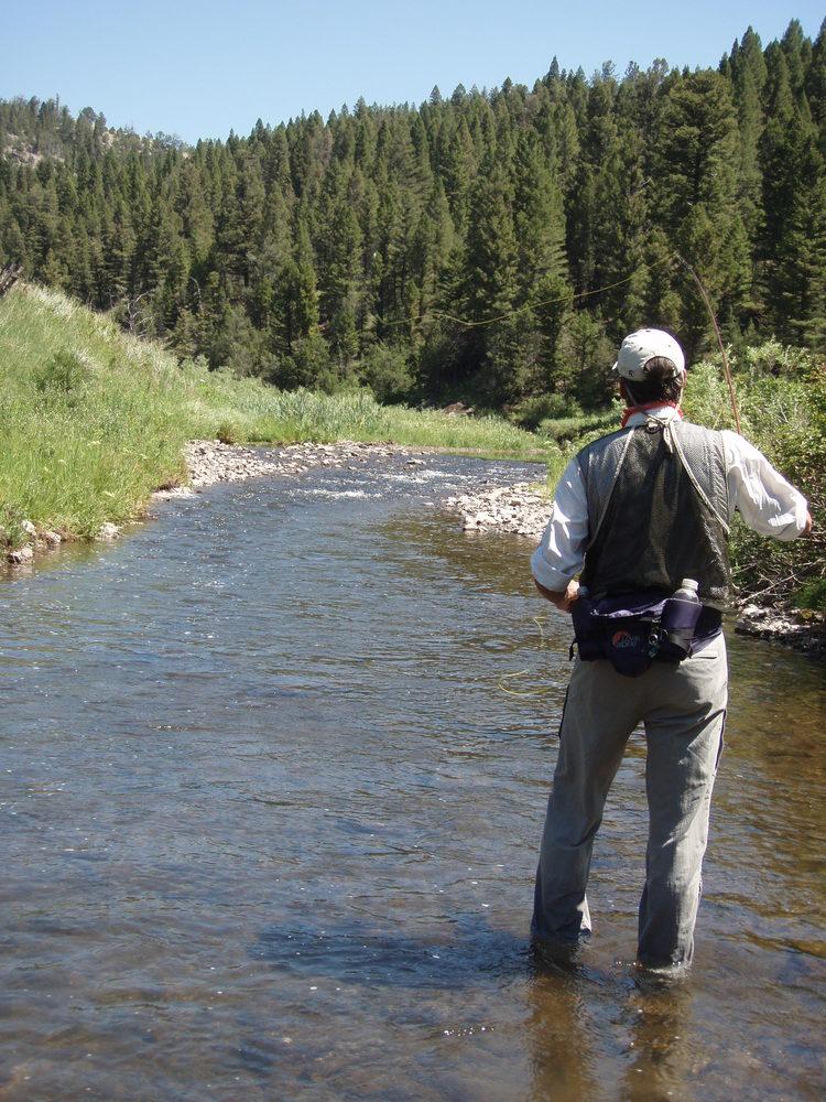 Half Day Walk & Wade Fly Fishing Trip Gallatin River