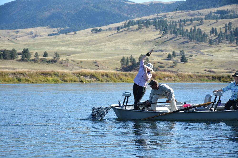 Emigrant Montana Yellowstone River Fly Fishing