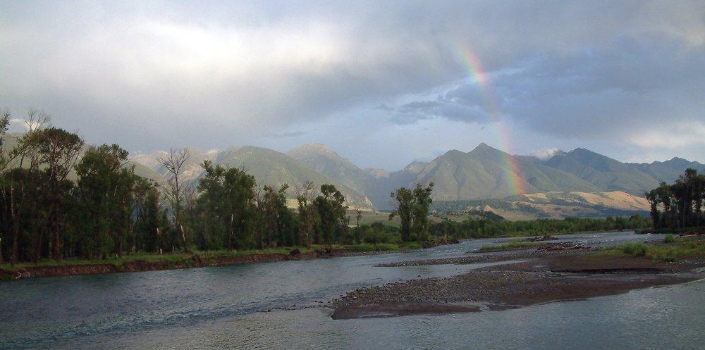 Walk & Wade Fly Fishing Yellowstone River Pray, Montana