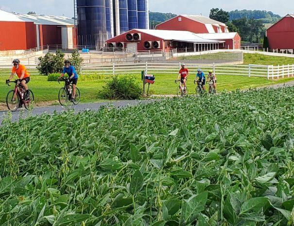 Guided Finger Lakes Bike Tour | 4 Days | Ithaca, New York