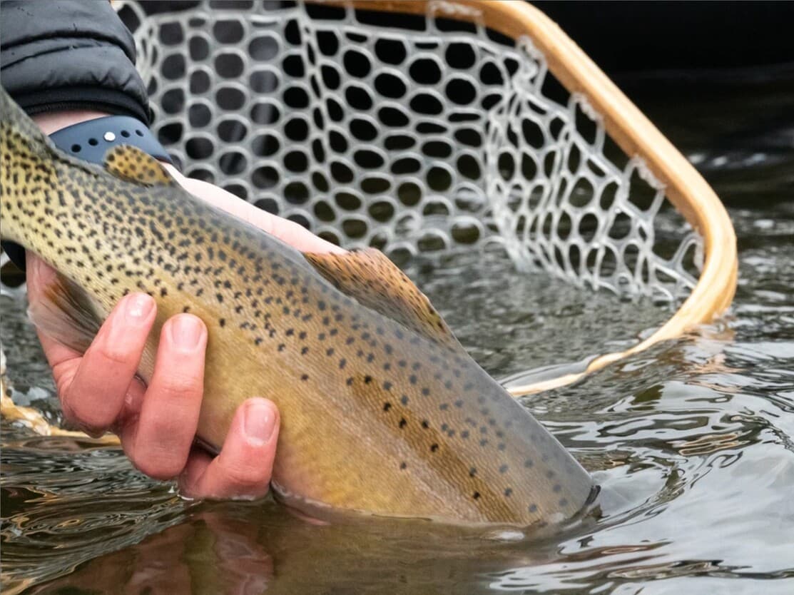 Guided Fishing Trip | Medical Lakes | Spokane, Washington