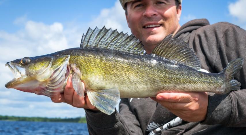 Guided Walleye Fishing Trip | Columbia River | Tri-Cities, Washington