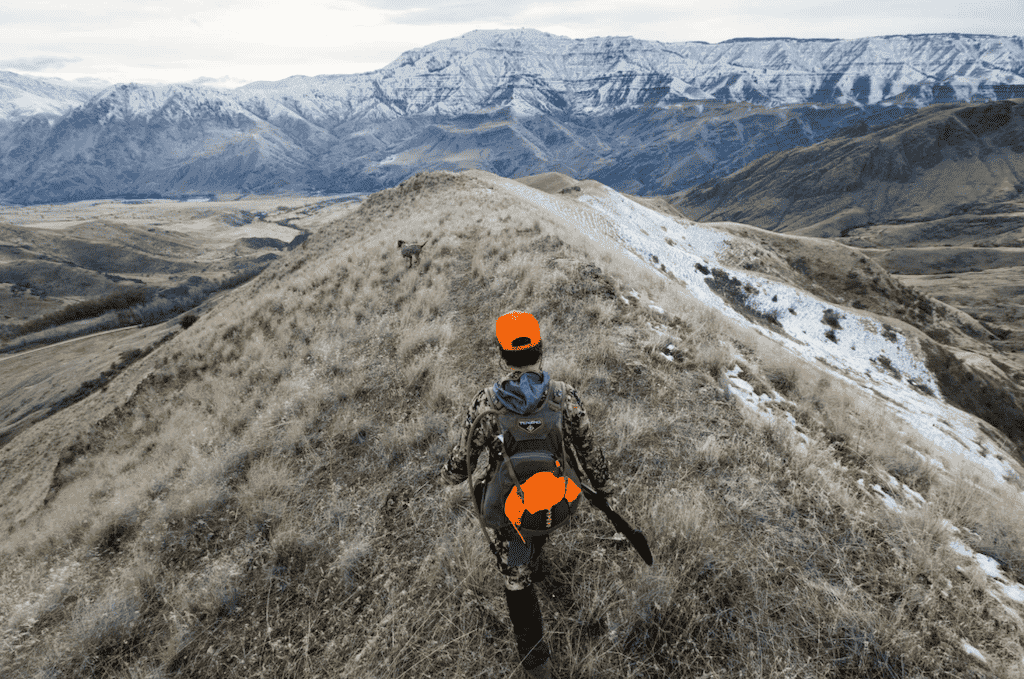 Guided Upland Game Bird Hunt | Palouse Area | Moscow, Idaho