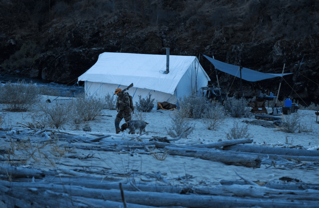 3-Day Guided Group Upland Game Bird Hunt | Hell's Canyon | Riggins, Idaho