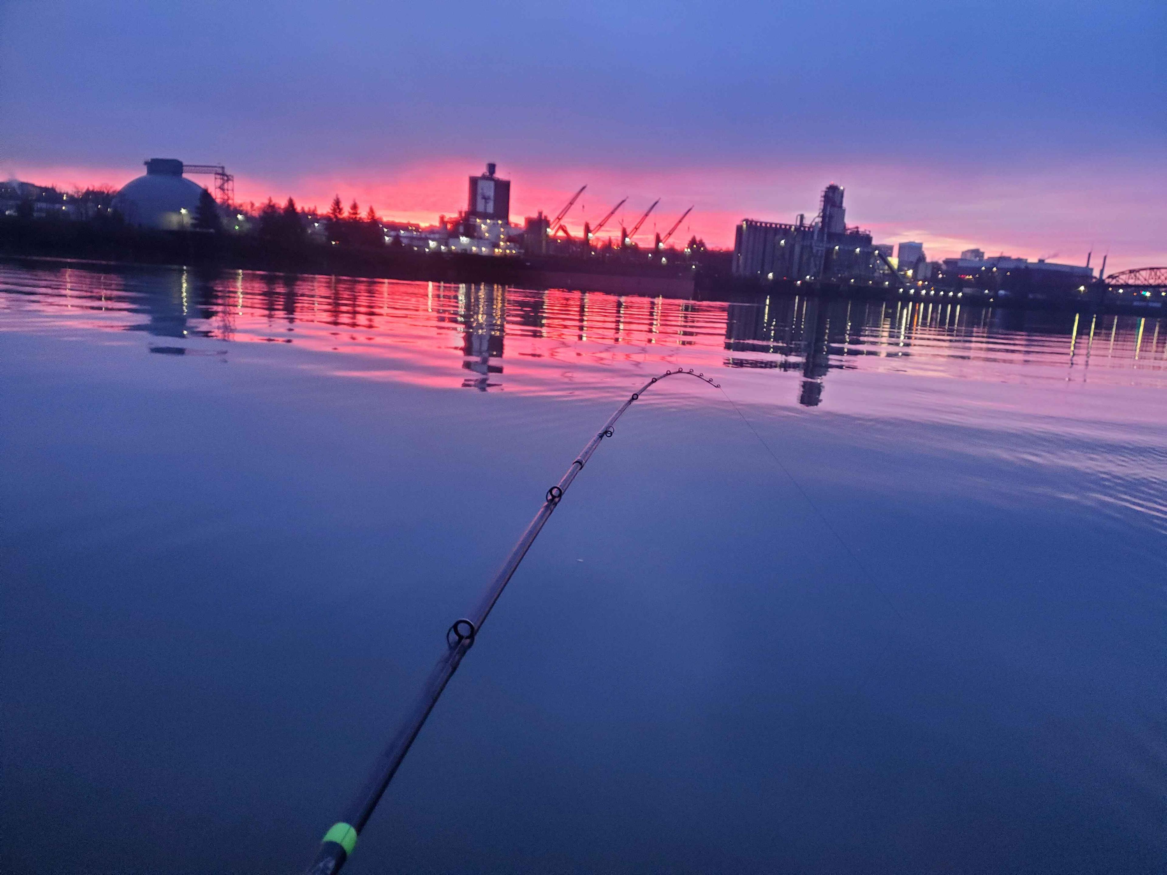 Spring Chinook Salmon Fishing Guide | Willamette River | Milwaukie, Oregon