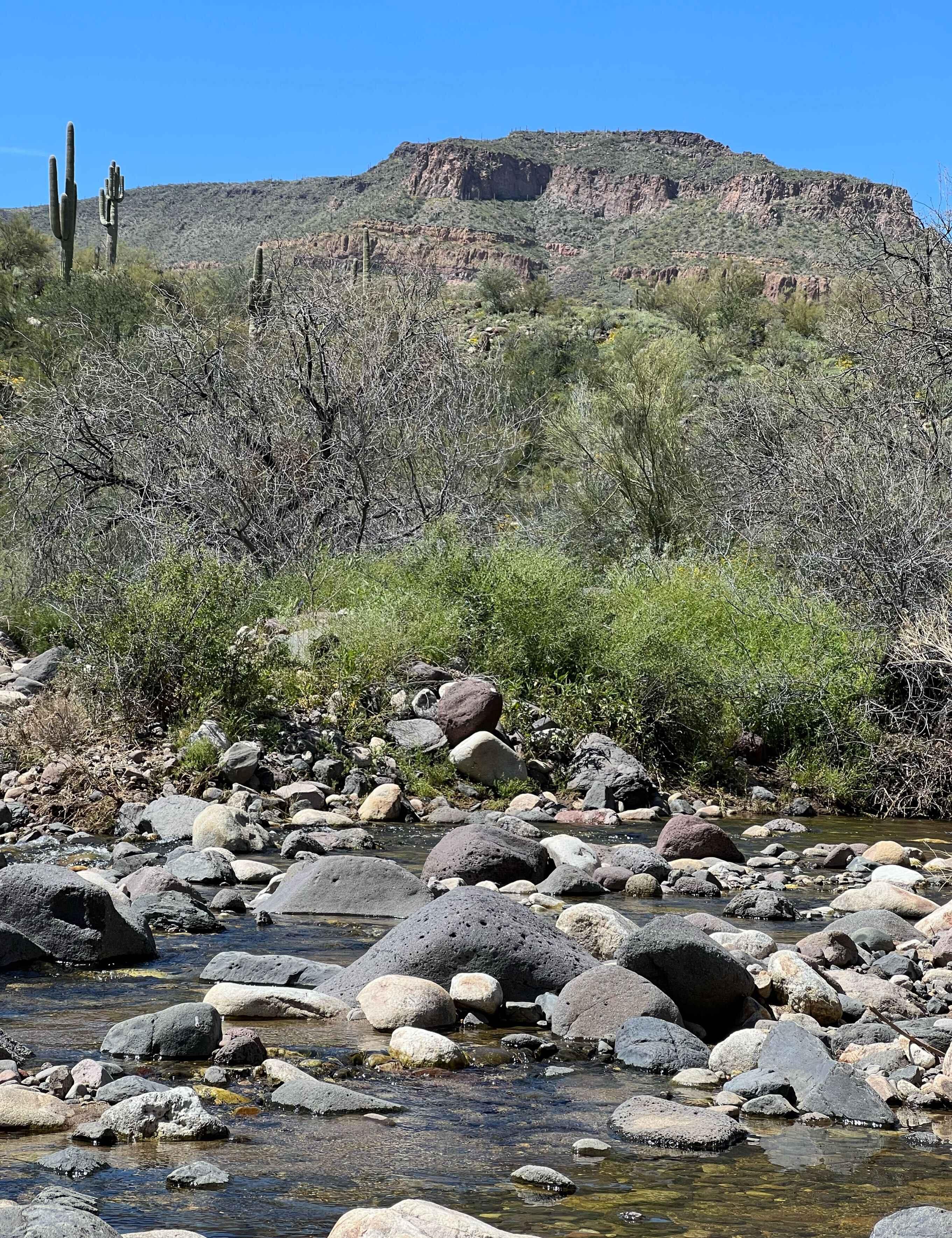 Backcountry Water & Birds Tour Guide | 6 Hours | Phoenix, Arizona