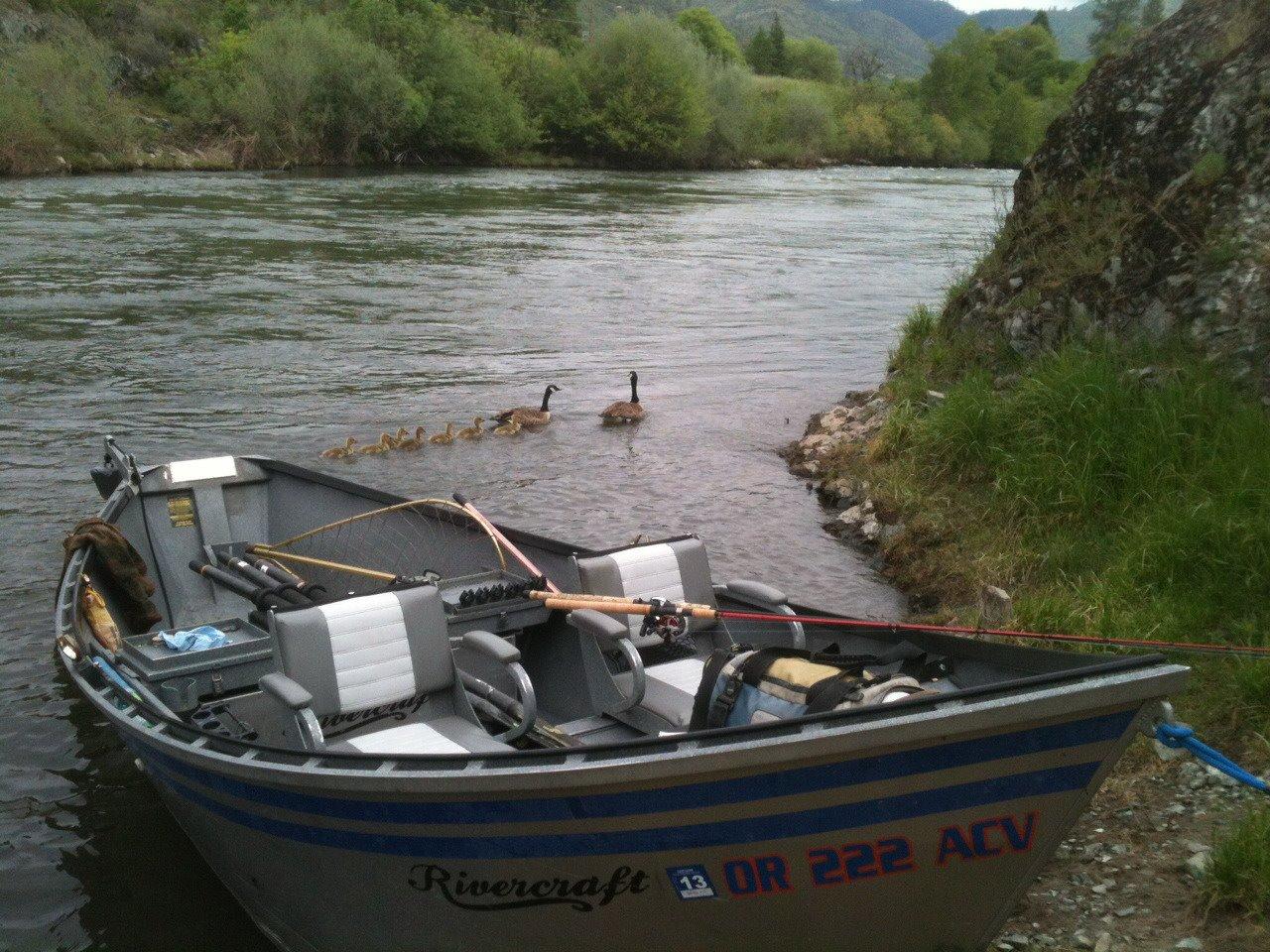 Guided Fishing Charter | Rogue River Half Day | Gold Hill, Oregon