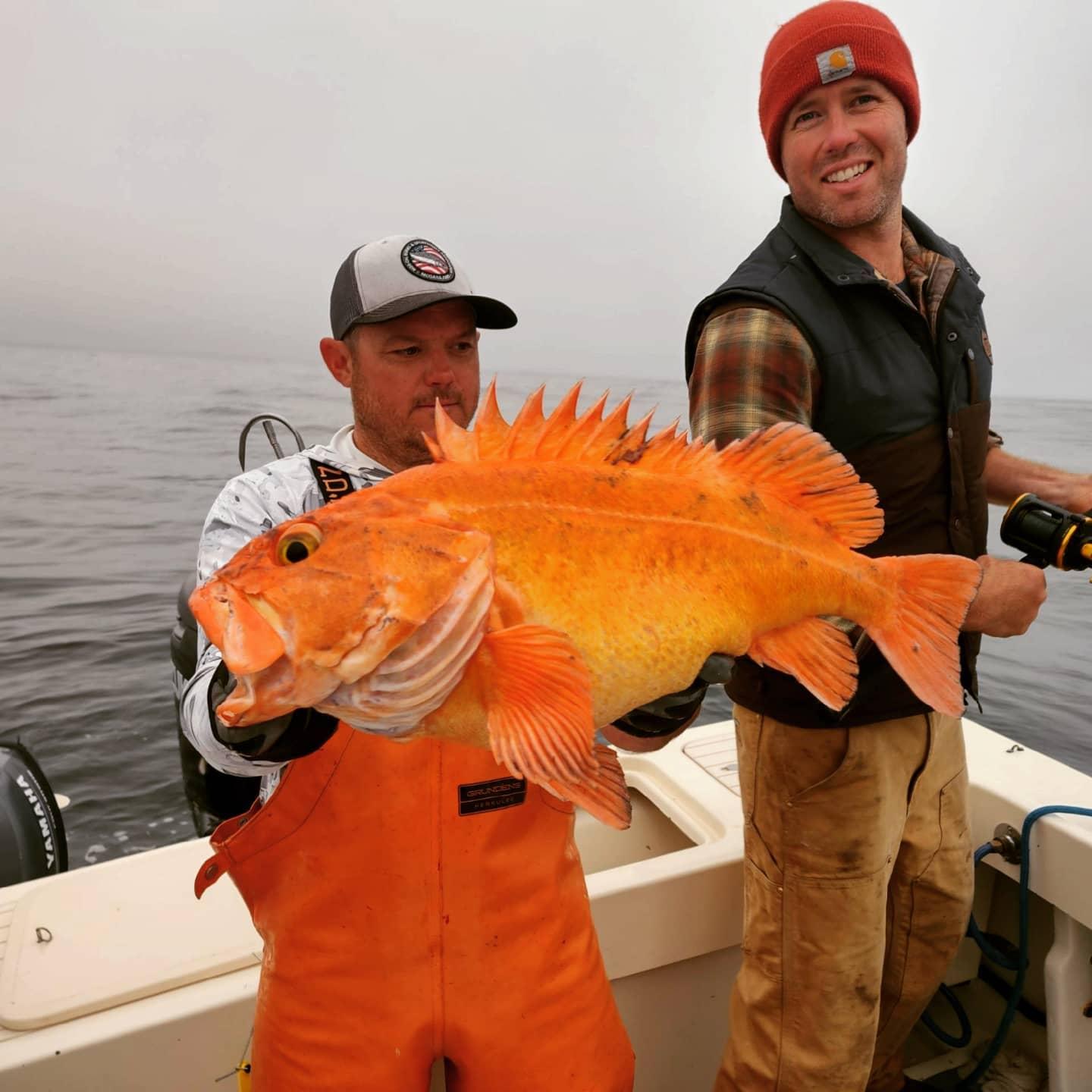 Guided Rockfish Fishing Charter | Cape of Mendocino | Eureka, California