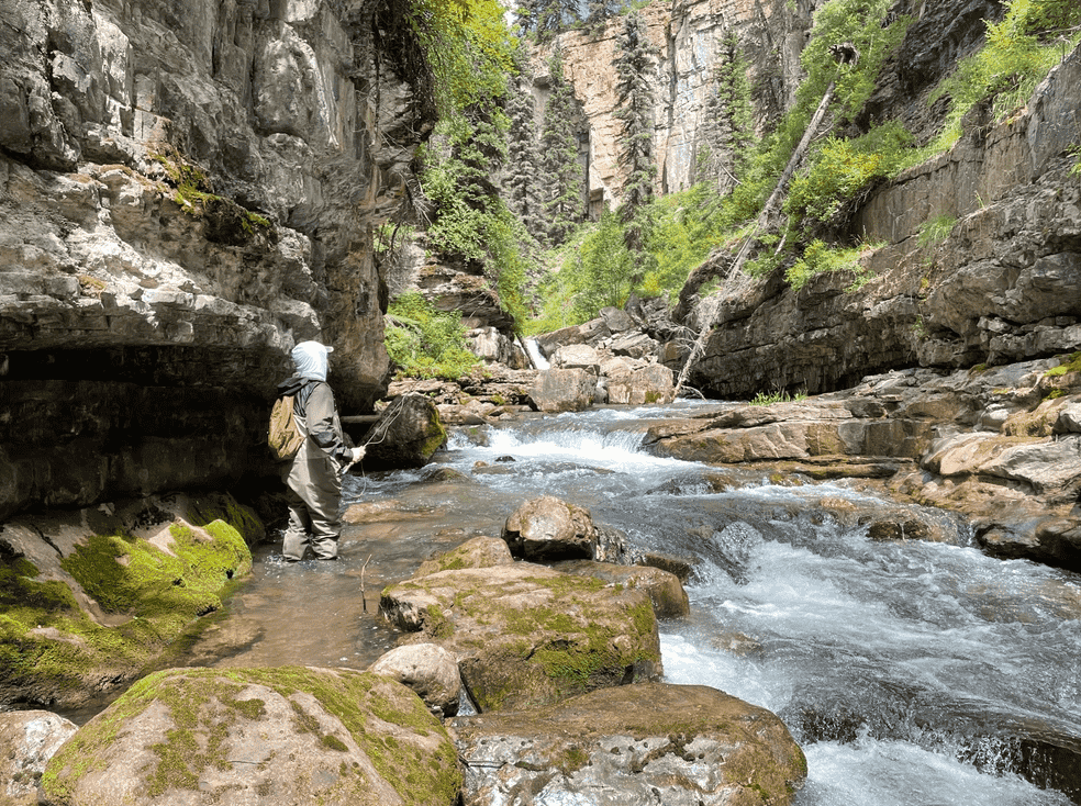 Float Or Wade Fly Fishing | San Juan River Full Day | Farmington, New Mexico