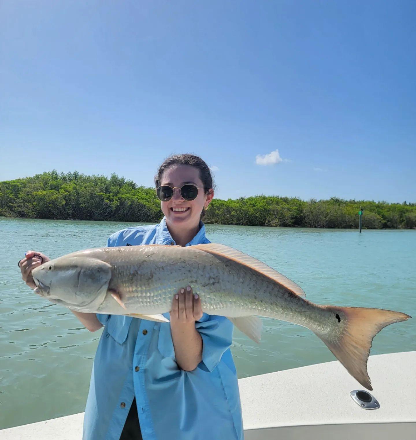 Guided Inshore & Nearshore Fishing Charter | 6-Hours | Matlacha, Florida