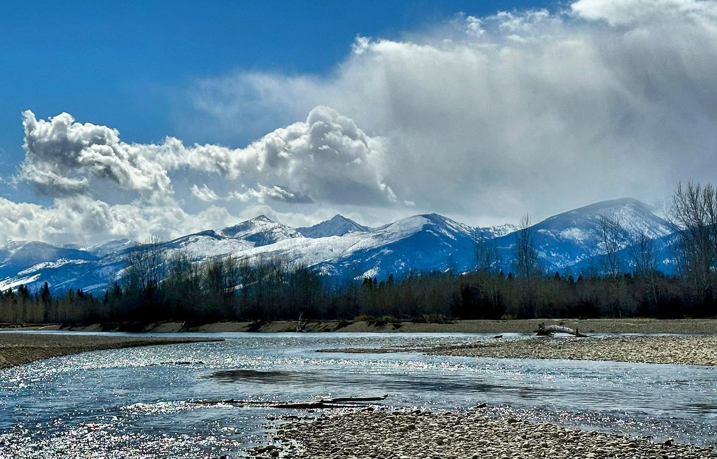 Half-Day Scenic River Float | Hamilton, MT | East Fork Anglers