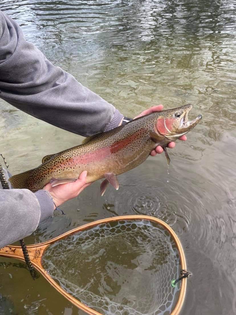 Full-Day Guided Fly Fishing | Boise, ID | Vice Outdoors