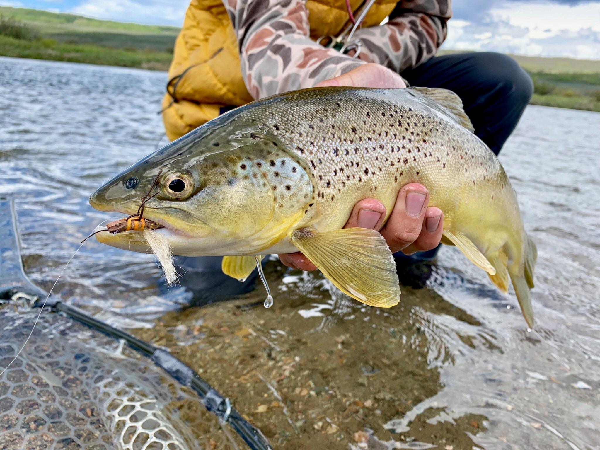 Full-Day Walk Wade Fly Fishing | Gardiner, MT | Yellowstone Fly Fishing Co