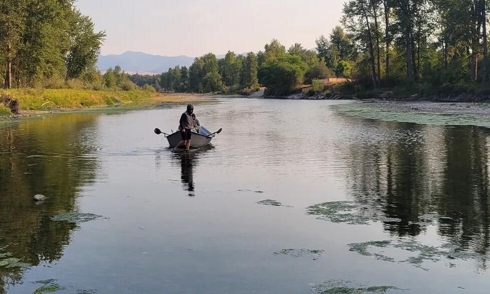 Birding & Photography Float | Missoula, MT | Missoula Fly Fishing Outfitters