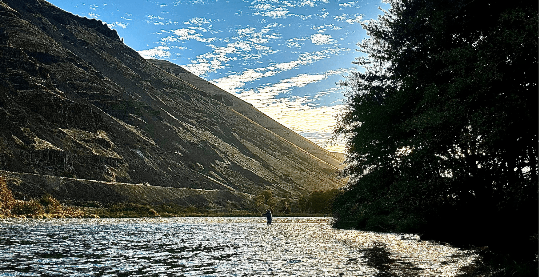 Full-day Guided Fly Fishing Trip | Deschutes River Trout | Silvey's Fly Fishing