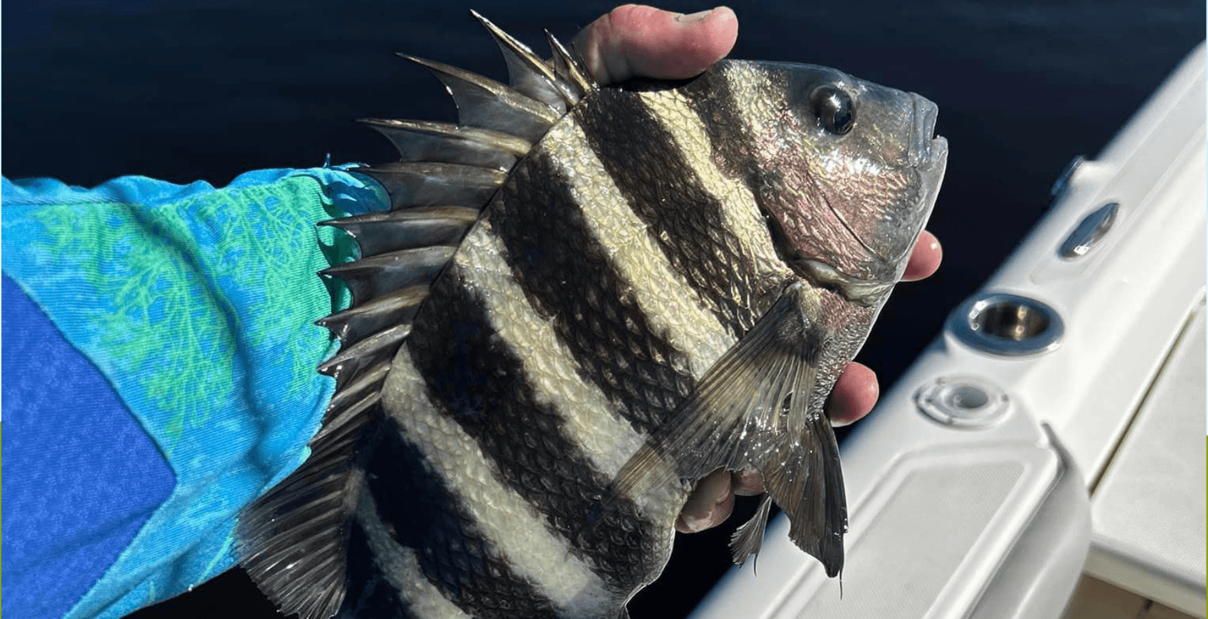 Half-Day Inshore Fishing Charter | Sanibel, FL | Maxed Out Charters