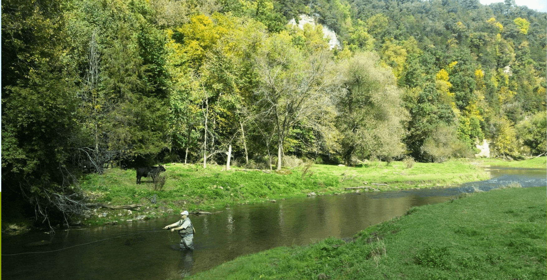 Half-Day Guided Walk & Wade | Driftless Area, MN | Driftless Fly Fishing Co.