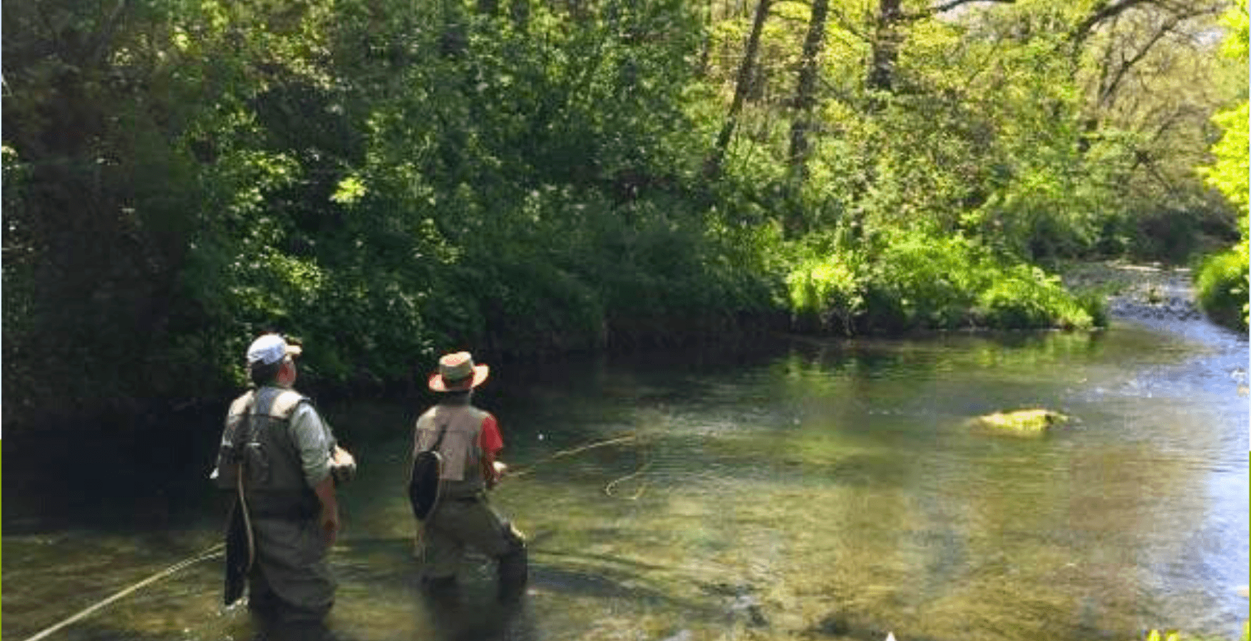 Full-Day Guided Walk & Wade | Driftless Area, MN | Driftless Fly Fishing Co.