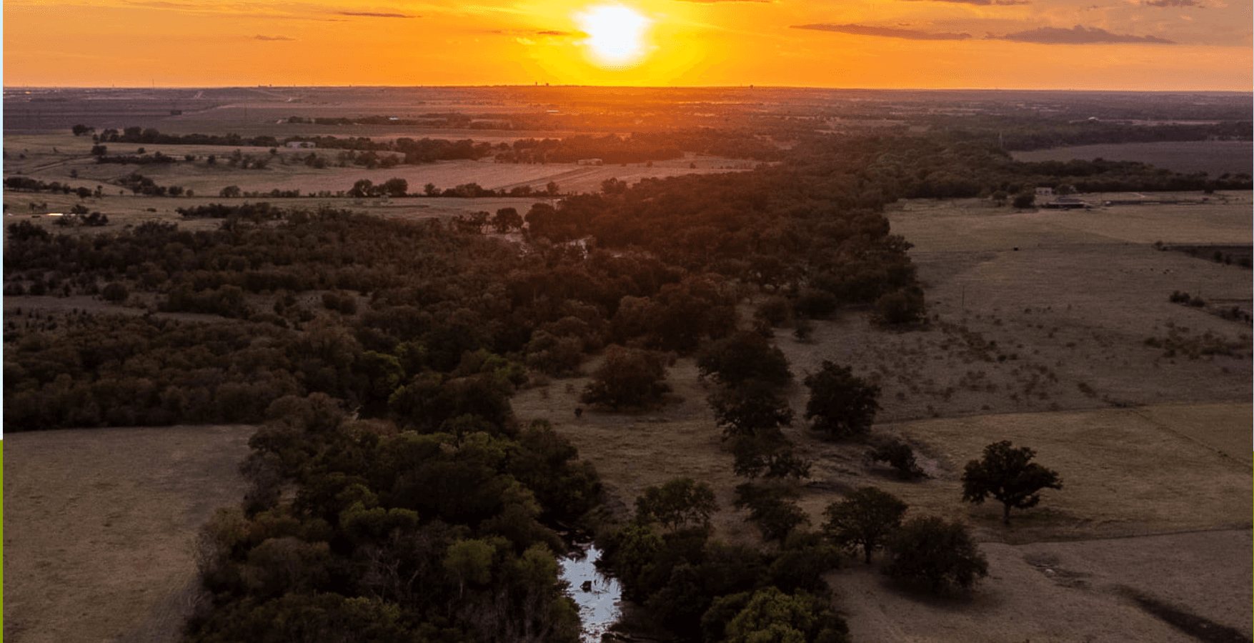 Full-Day Guided Carp Fishing | Austin, TX | Austin Carp Angler