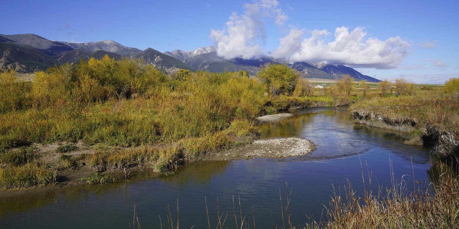 Full-Day Guided Fly Fishing | Dillon, MT | Frontier Anglers