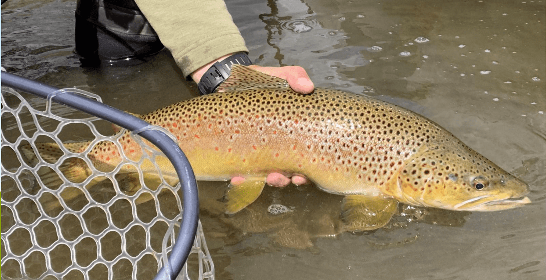 Full-Day Guided Fly Fishing | Clark Canyon Reservoir | Frontier Anglers