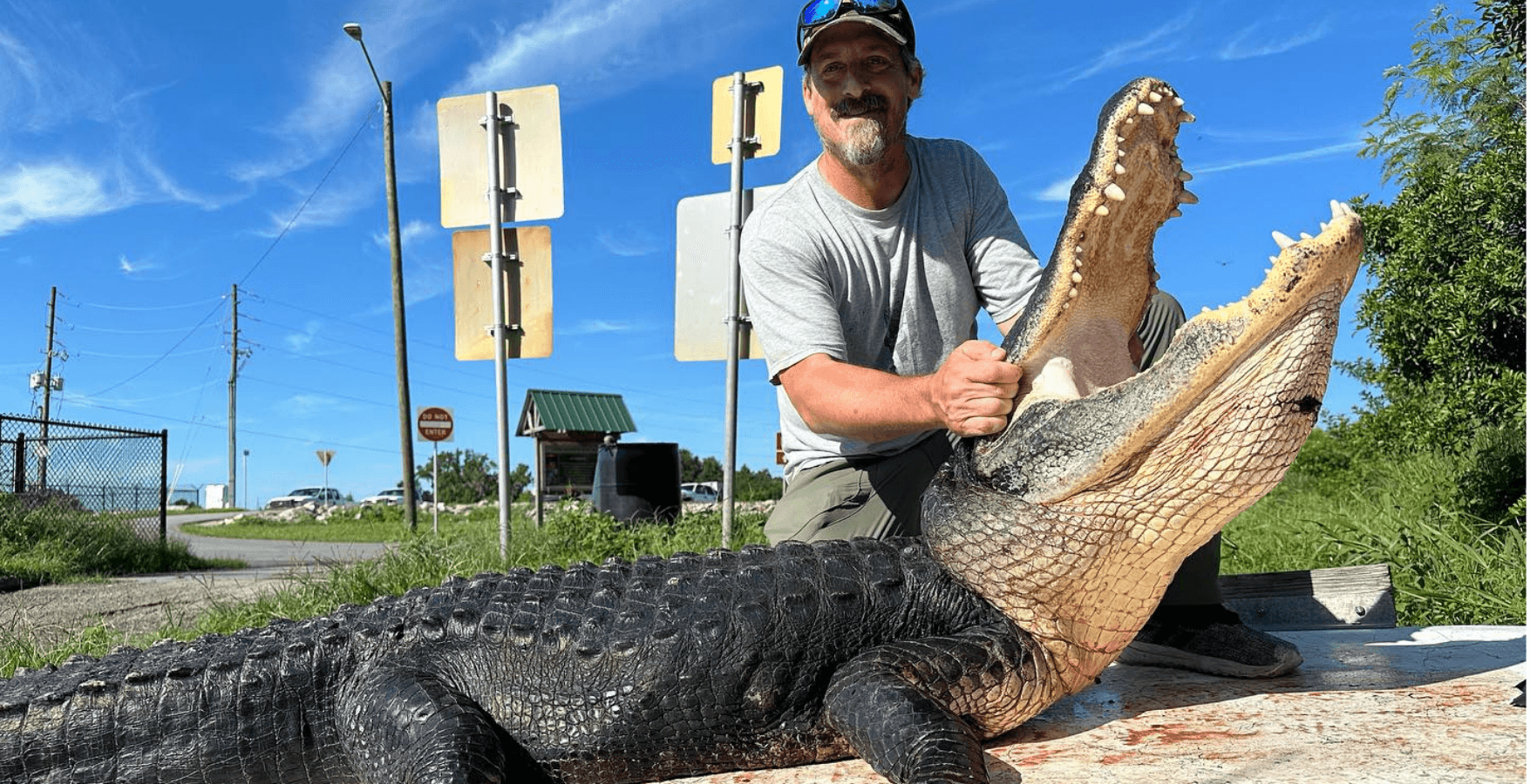 Full-Day Guided 11'6"- 12" Gator Hunt | Punta Gorda, Florida | Gator Raiderz