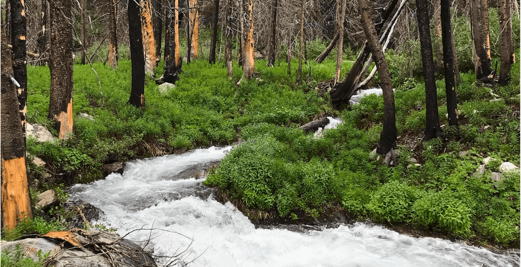 Guided Half-Day Hiking Excursion | Paradise Valley, MT | FlexTrek Hiking Guides