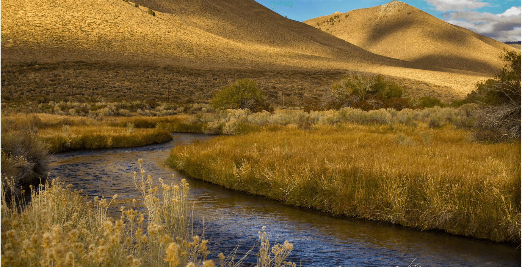 Full-Day Guided Fly Fishing | Ennis, MT | River Summit Outfitters