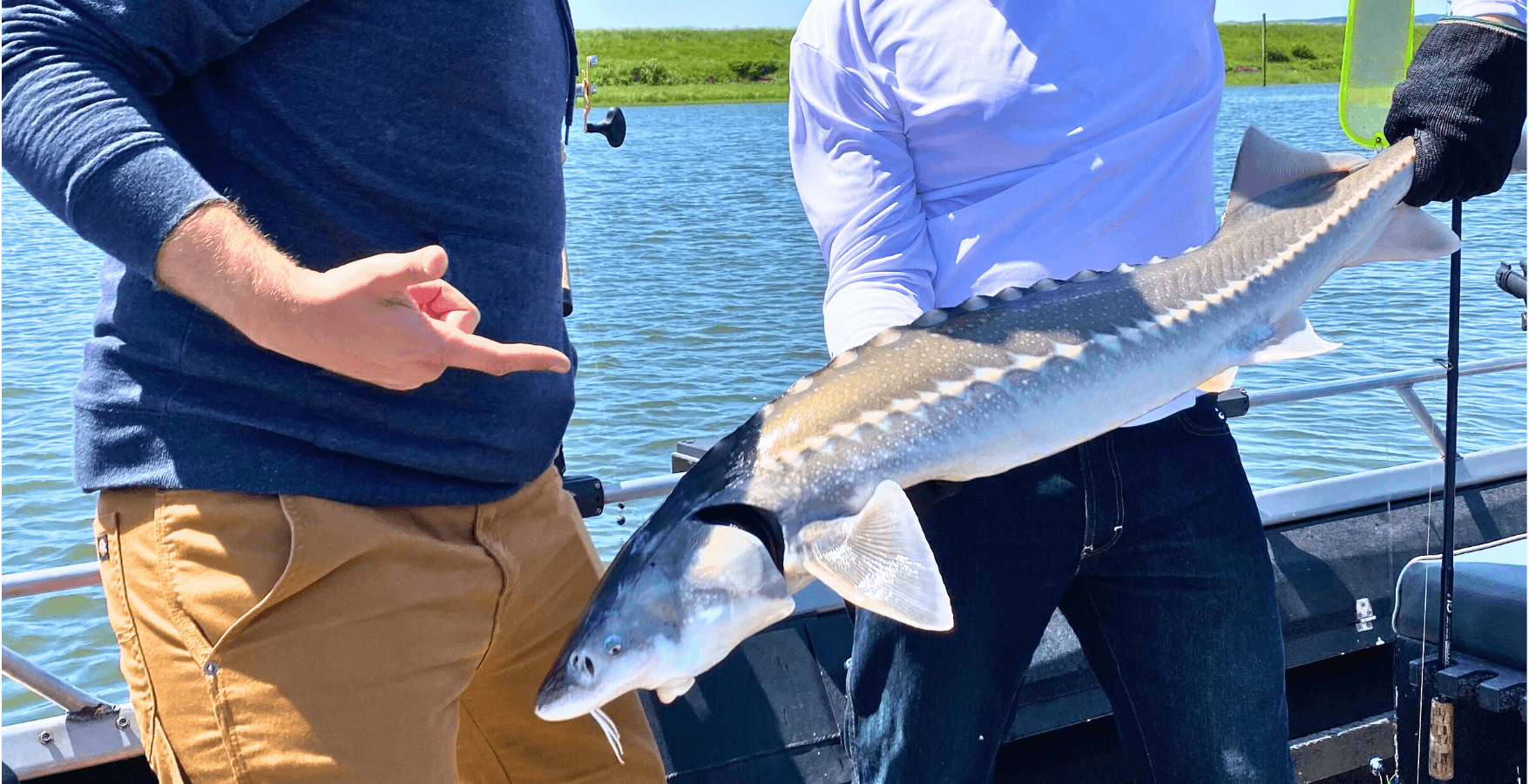 Guided Sturgeon Fishing Charter | Astoria, OR | Parsons Fishing